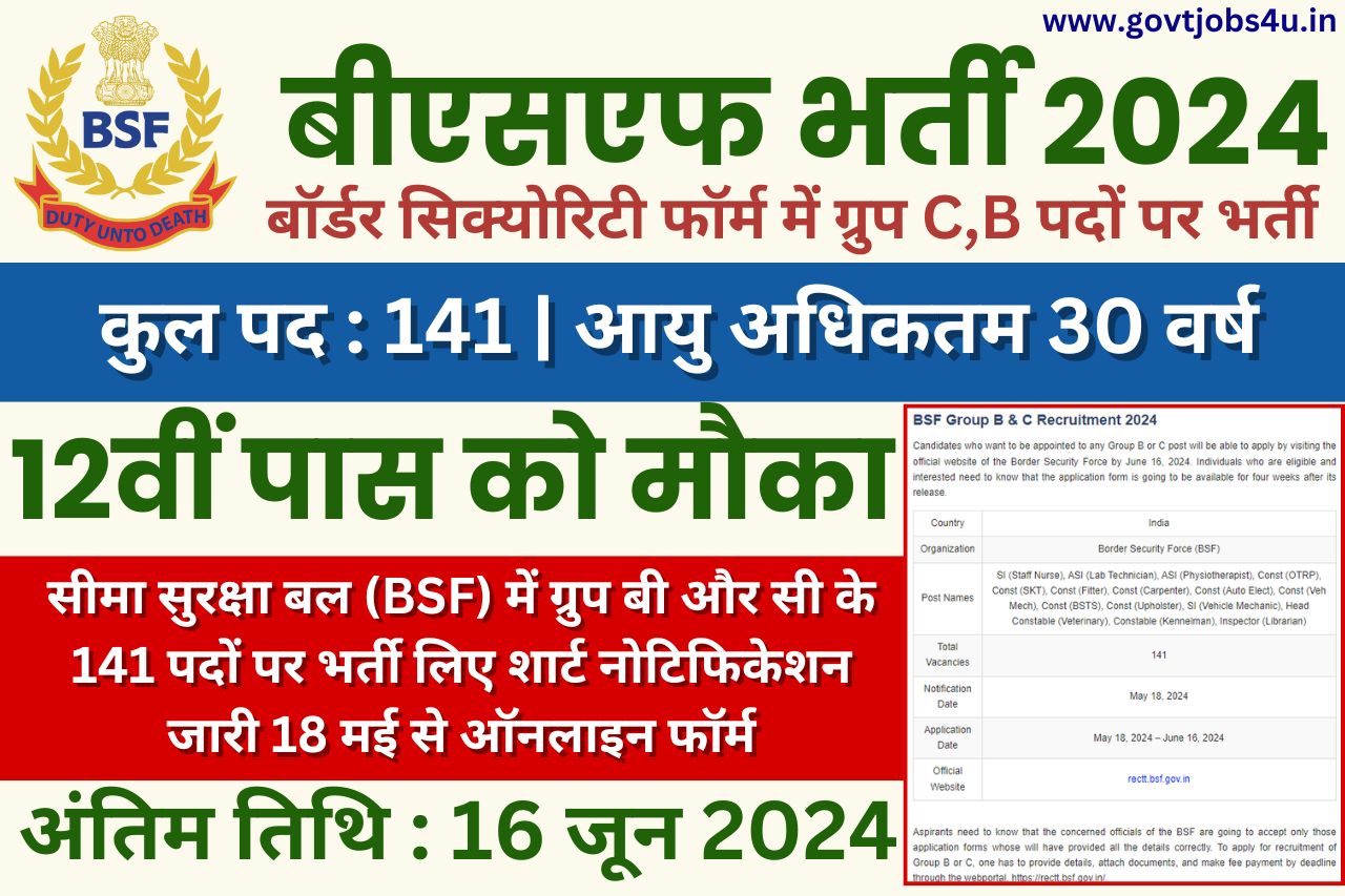BSF Group B & C Recruitment 2024