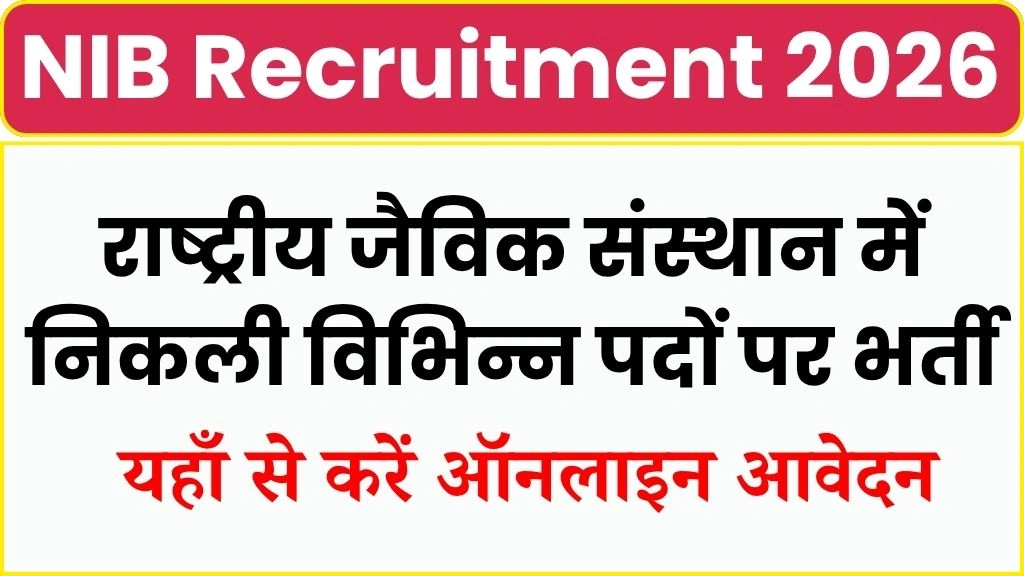 NIB Recruitment 2026